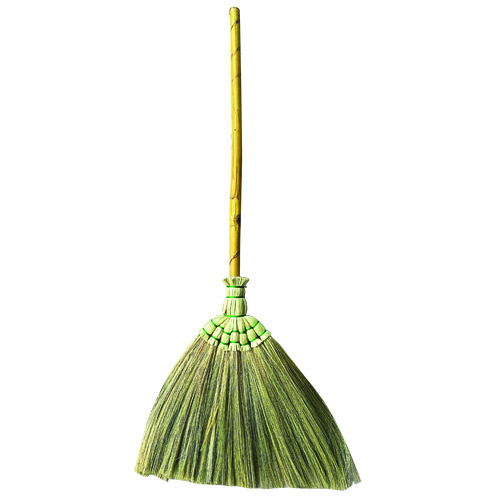 thailand broom